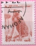 Stamps Afghanistan -  Acinonyx jabatus