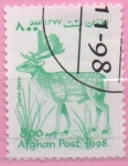 Stamps Afghanistan -  Dama dama