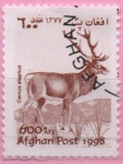 Stamps Afghanistan -  Cervus elephus