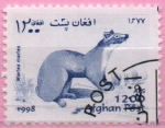 Stamps Afghanistan -  Martes martes