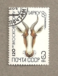 Stamps Russia -  120 Aniv. del Zoo de Moscú