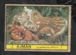 Stamps United Arab Emirates -  Ajman - Fauna marina