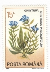 Stamps Romania -  Gentiana phlogifolia