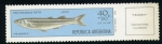 Stamps Argentina -  Pejerey