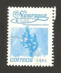 Stamps Nicaragua -  1395 - flor stachytarpheta indica