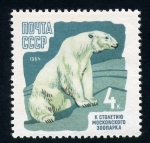 Stamps Europe - Russia -  Oso polar