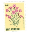 Stamps San Marino -  Clavellinas