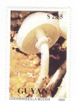 Stamps Guyana -  Setas.Oudemanseilla mucida