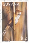 Sellos de America - Guyana -  AVE-REED WARBLER