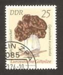 Stamps Germany -  1617 - Champiñon, gyromitra esculenta