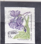 Stamps Ireland -  FLORES- PINGUICULA GRANDIFLORA