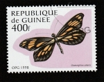 Sellos de Africa - Guinea -  Dismorphia cubana