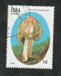 Sellos de America - Cuba -  2827 - Champiñón venenoso, Inocybe patouillardii