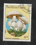 Stamps Burkina Faso -  679 - Champiñón, Agaricus campestris