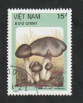 Stamps Vietnam -  850 - Champiñón, Tricholoma terreum