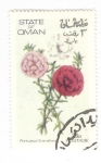 Stamps Oman -  Portulaca grandiflora