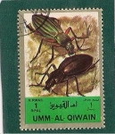 Sellos de Asia - Emiratos �rabes Unidos -  Insectos