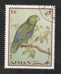 Stamps United Arab Emirates -  Ajman - 54 - Ave