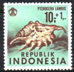 Sellos de Asia - Indonesia -  CONCHAS  MARINAS,  PTEROCERA  LAMBIS.