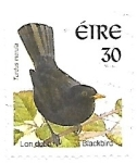 Stamps Ireland -  Pájaros