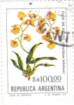 Stamps Argentina -  flor del patito 