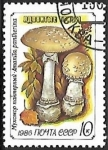 Sellos de Europa - Rusia -  Setas - Amanita pantherina