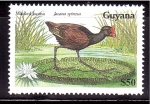 Sellos de America - Guyana -  serie- Aves