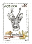 Stamps Poland -  Animales de caza 