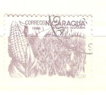 Stamps Nicaragua -  maíz RESERVADO