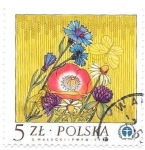 Sellos de Europa - Polonia -  flores