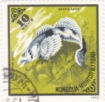 Stamps Mongolia -  pez- Amur Sculpin (Mesocottus haitej)