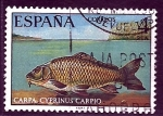 Sellos de Europa - Espaa -  fauna    carpa