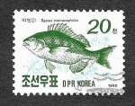 Sellos de Asia - Corea del norte -  2952 - Besugo (Sparus macrocephalus)