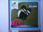 Sellos del Mundo : America : Colombia : Ninfa de los Bosques - Heliconius Cydno Cydnides - Risaralda Bird Festival 2018.