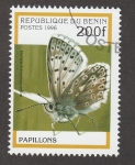 Stamps Benin -  Argus celbulina