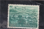 Sellos del Mundo : Asia : Indonesia : paisaje 