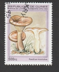 Sellos del Mundo : Africa : Guinea : Paxillus involutus