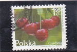 Sellos de Europa - Polonia -  cerezas 