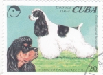 Stamps Cuba -  PERROS DE RAZA