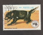 Stamps Lebanon -  Sarcophilus hsrris