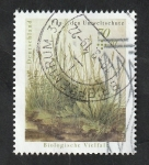 Stamps Germany -  3189 - Diversidad biológica