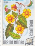 Stamps Equatorial Guinea -  flores- Hibbertia dentada 