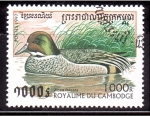 Stamps Cambodia -  serie- Patos