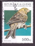 Stamps Guinea -  serie- Pajaros