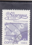 Stamps Nicaragua -  flores-