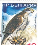 Stamps Bulgaria -  gavilán 