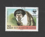 Sellos de Africa - Guinea -  Cercobus equatus