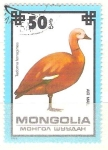 Stamps Mongolia -  tadorna ferruginea RESERVADO