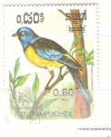 Stamps Cambodia -  thraups bonaerensis RESERVADO