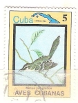 Sellos de America - Cuba -  mymus polyglottos RESERVADO